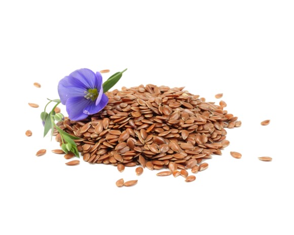Siemię lniane 25 kg <br>EQUIHERBS