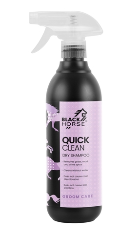 Quick Clean <br> Suchy Szampon  <br> BLACK HORSE 