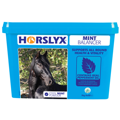 Lizawka dla koni HORSLYX MINT 5kg