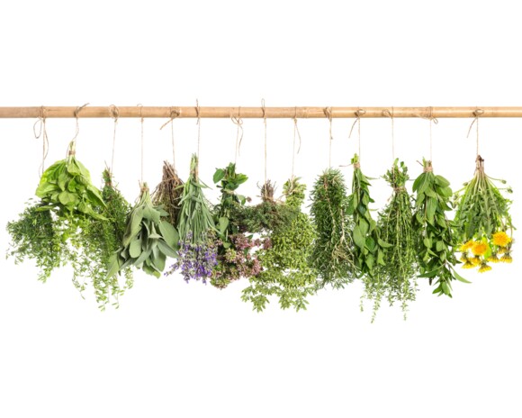 Bar ziołowy 1 produkt <br>EQUIHERBS