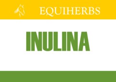EQUIHERBS <br>Inulina