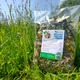 Mieszanka codzienna premium 400g Camvil